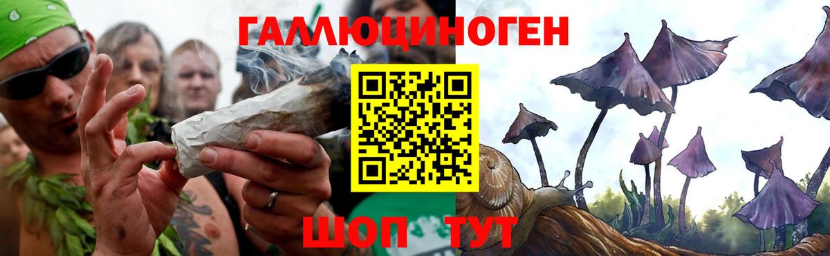 Галлюциногенные грибы мицелий  как найти   Коркино  Вход с VPN  Псилоцибиновые грибы Cubensis 